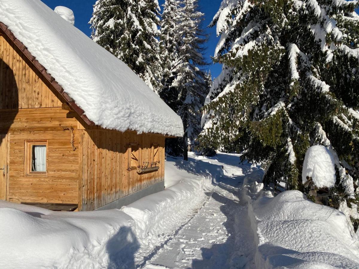 Вилла Chalet Ivi Згорнье-Горье Экстерьер фото